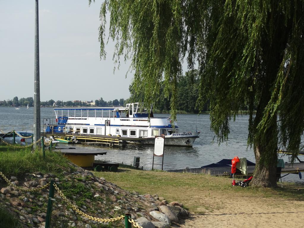 Hotel Wityng Ślesin Extérieur photo
